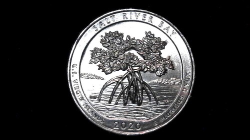 Srba 2020 virgin islands - -, p