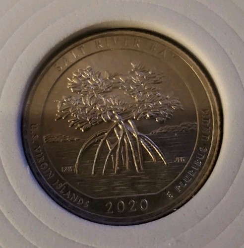 2020 salt river - salt,