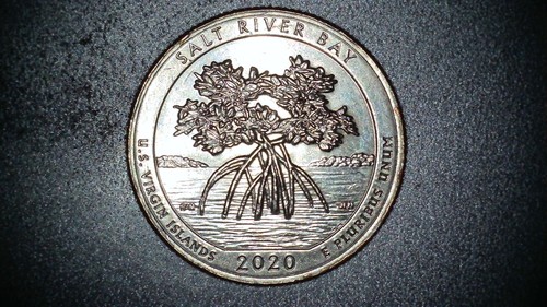 2020p salt river - river, quarter
