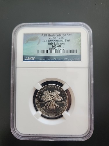 2020 25c salt - 2020-p,