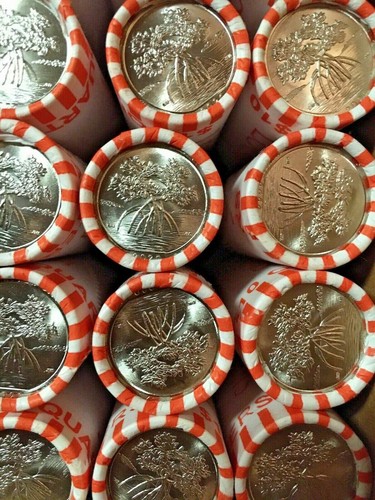One loomis bu bankroll - t/t,