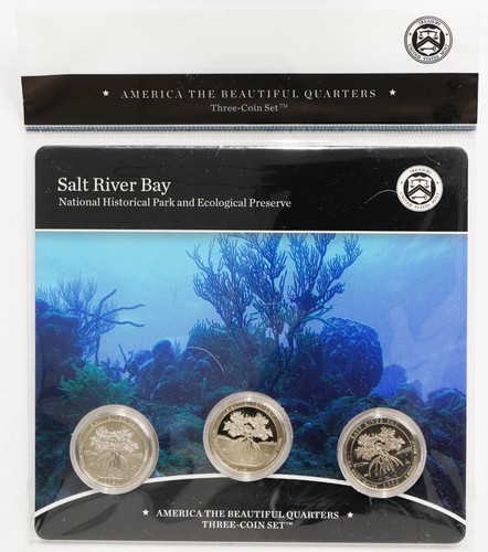 2020 salt river - salt, bay