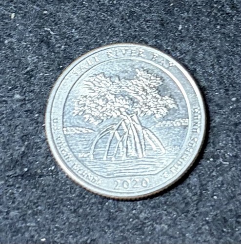 2020 salt river bay - salt, quarter
